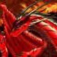 Bull8CBQN
