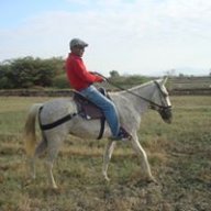 RAMOS PANTA PAIVA