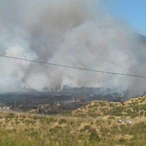 INCENDIO FORESTAL "LOS MAITENES MELIPILLA