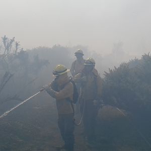 ataque directo con agua