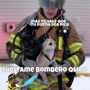 Nuestra misión, salvar vidas, gatos y bienes.