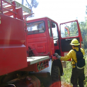 trabajo conjunto