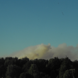 incendio forestal chiloe