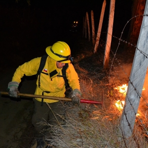 incendio forestal