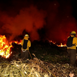 incendio forestal