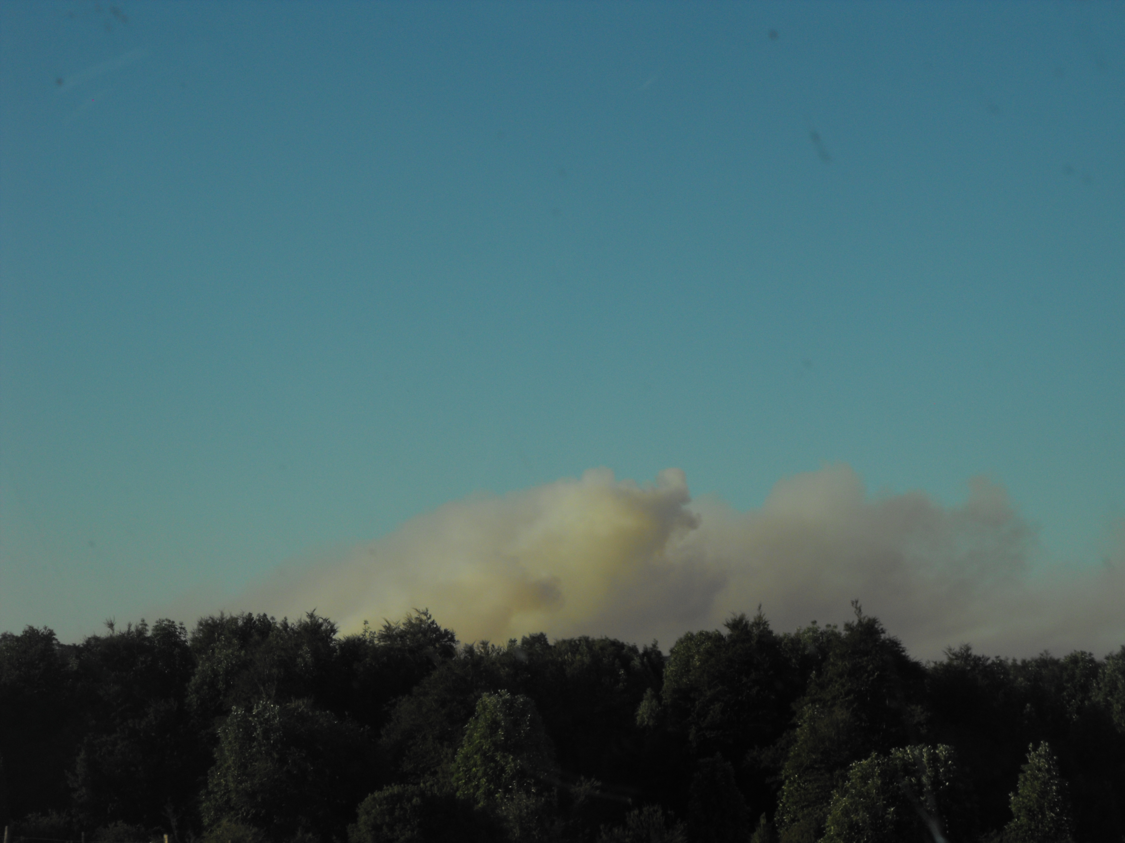 incendio forestal chiloe