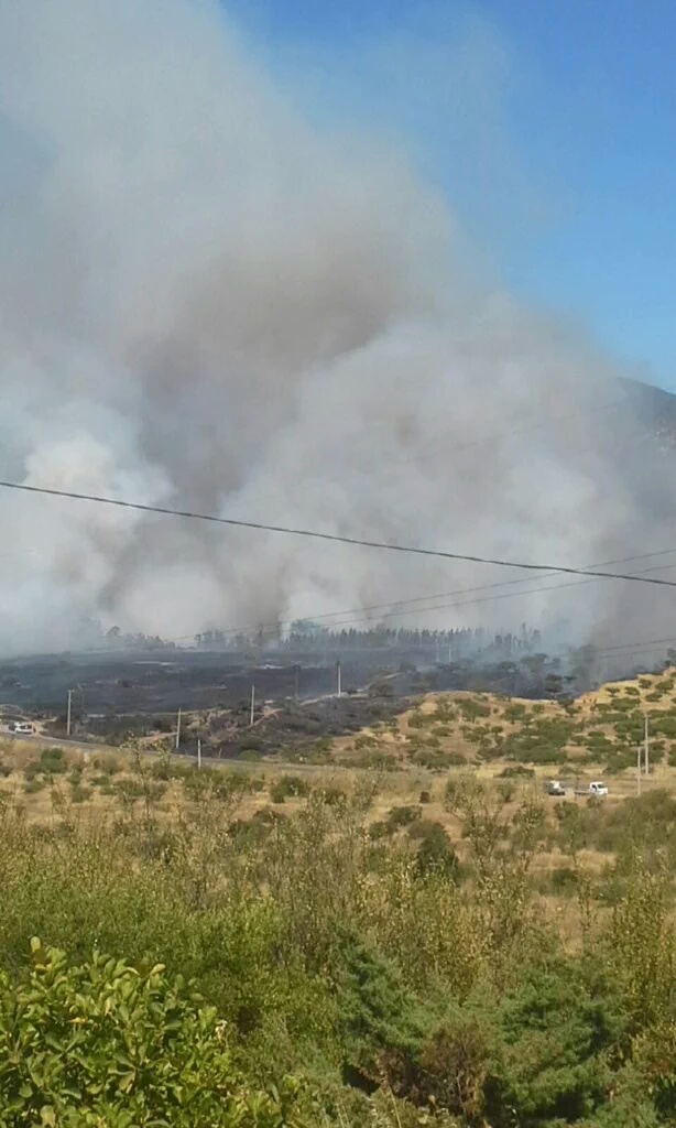 INCENDIO FORESTAL "LOS MAITENES MELIPILLA