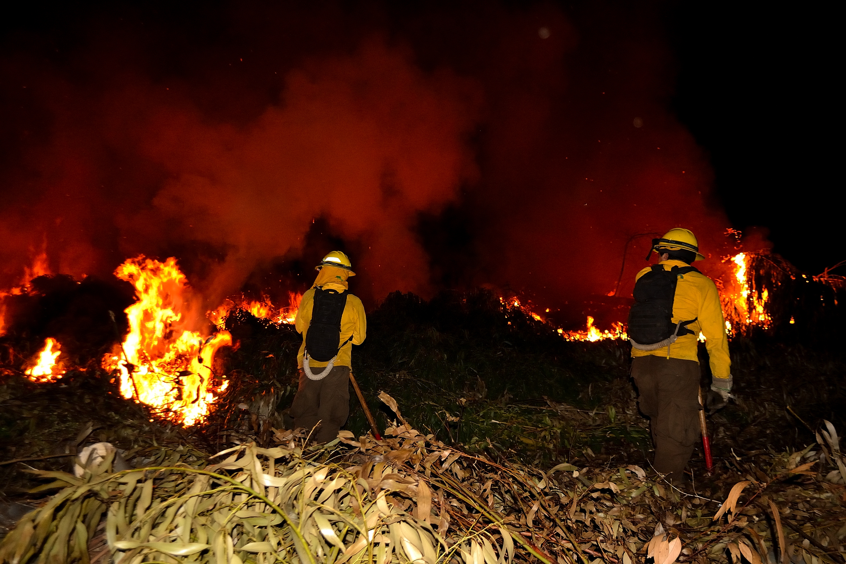 incendio forestal