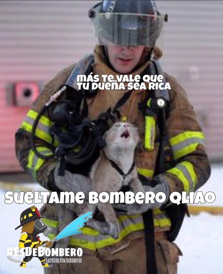 Nuestra misión, salvar vidas, gatos y bienes.