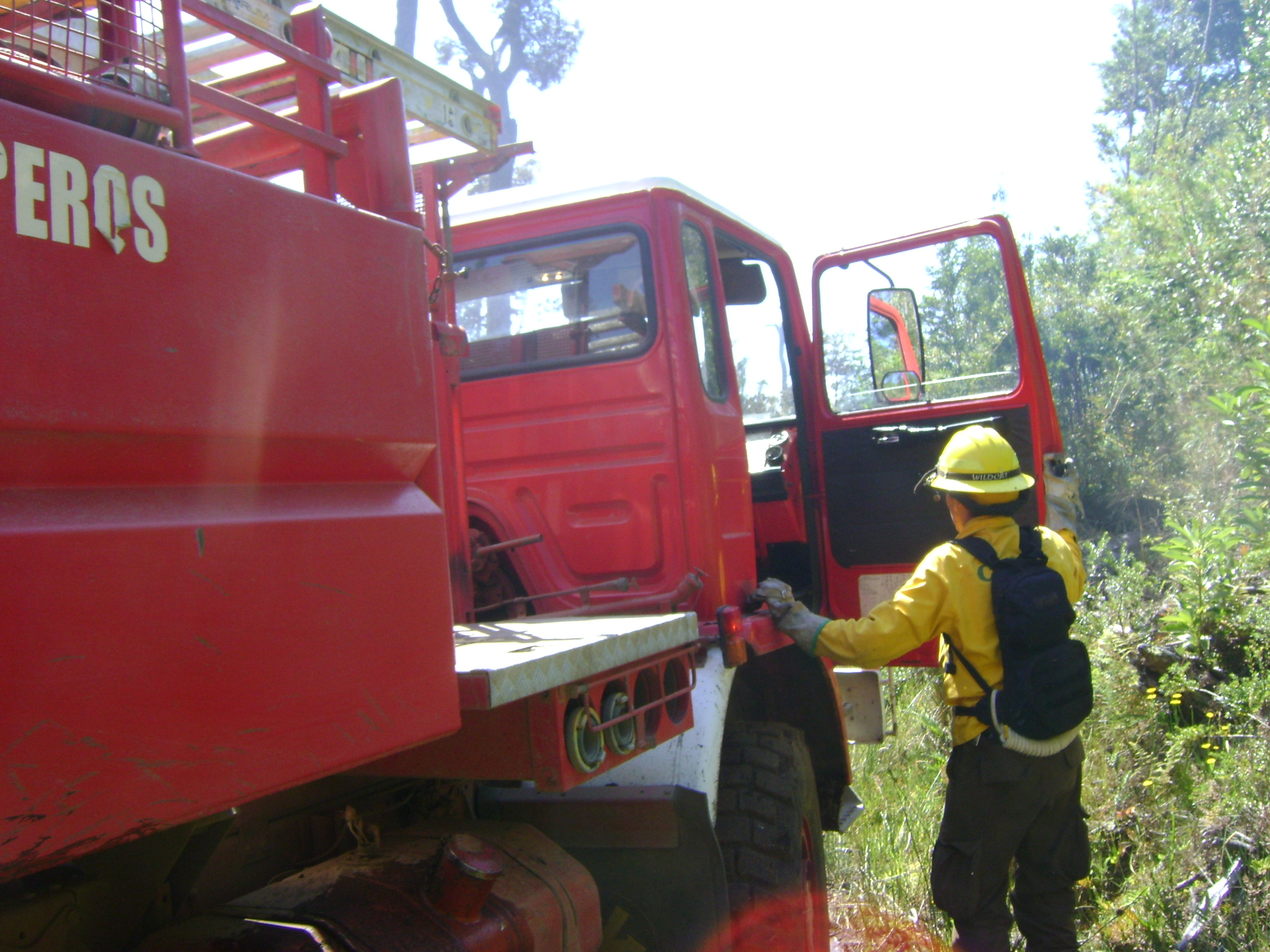 trabajo conjunto